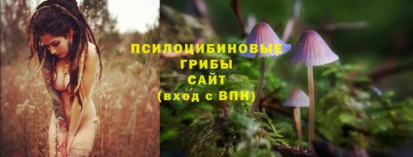 не бодяженный Армянск