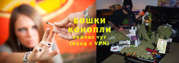прущие крисы Арсеньев