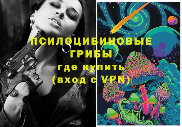 прущие крисы Арсеньев