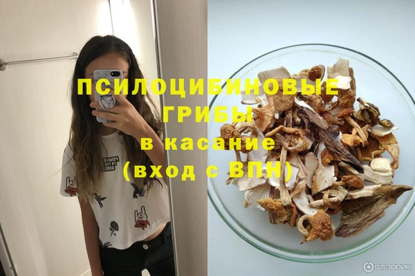 прущие крисы Арсеньев
