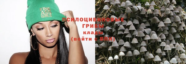 прущие крисы Арсеньев