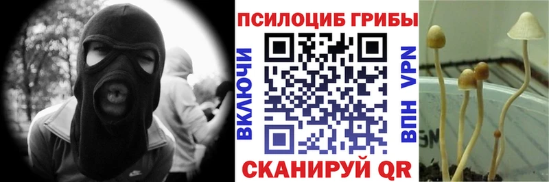 Галлюциногенные грибы Magic Shrooms  где продают наркотики  Новый Оскол 