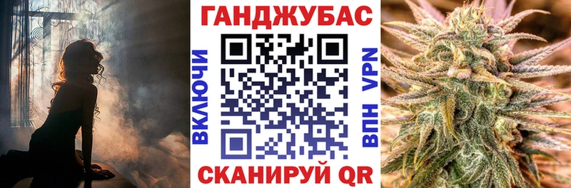Конопля гибрид Новый Оскол